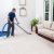 Parks Carpet Cleaning by Premier Carpet Cleaning
